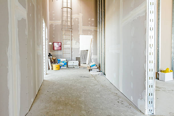 Best Drywall Texturing  in Eagle Grove, IA